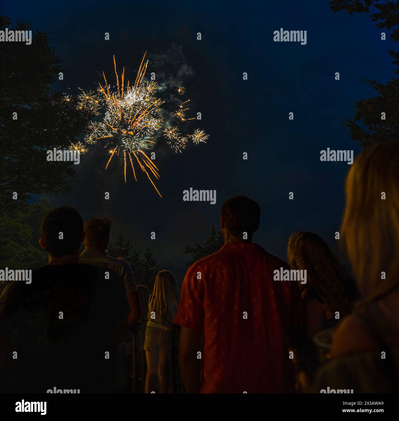4th of july firework