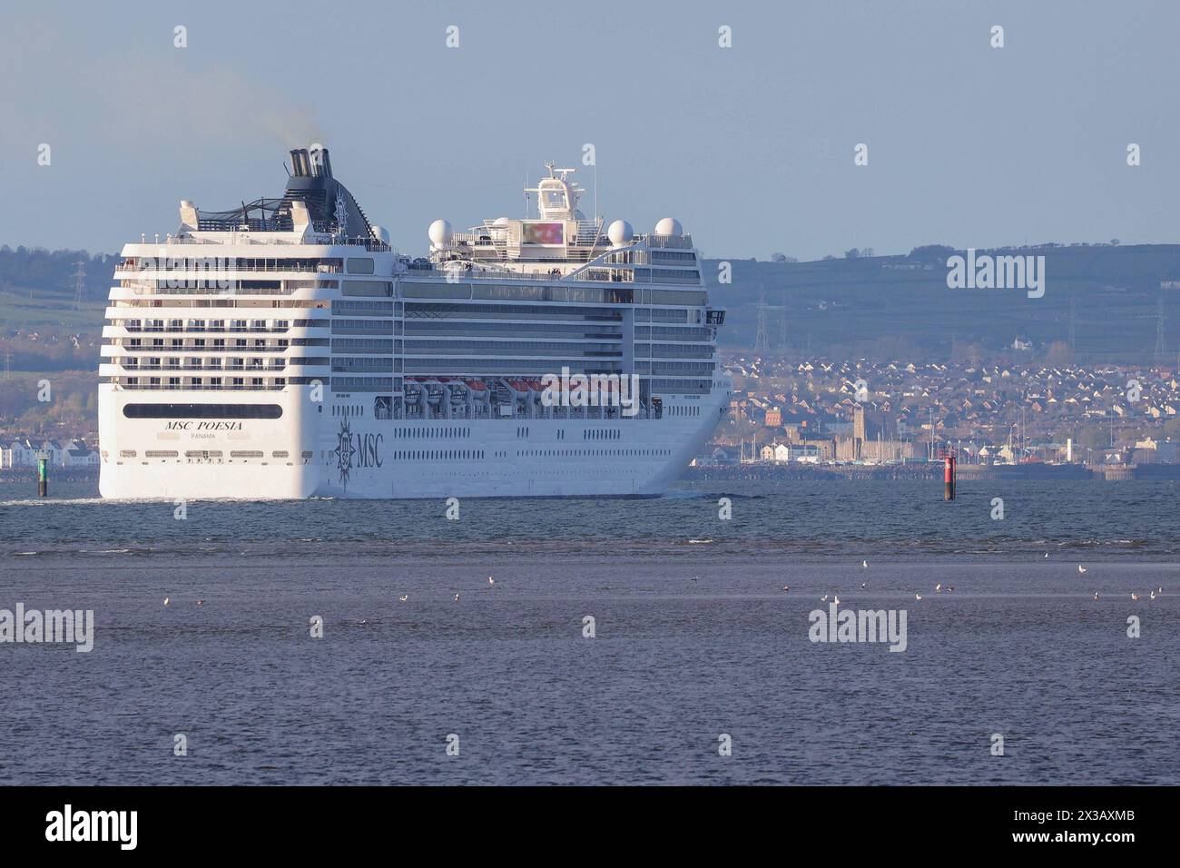 Belfast Lough, County Down, Northern Ireland, UK. 25th Apr 2024. UK weather - a sunny evening on Belfast Lough but still cold in the breeze. The cruise liner MSC Poesia on Belfast Lough leaving the Port of Belfast with Carrickfergus Castle, a medieval castle, just beyond the bow.  Credit: CAZIMB/Alamy Live News. Stock Photo