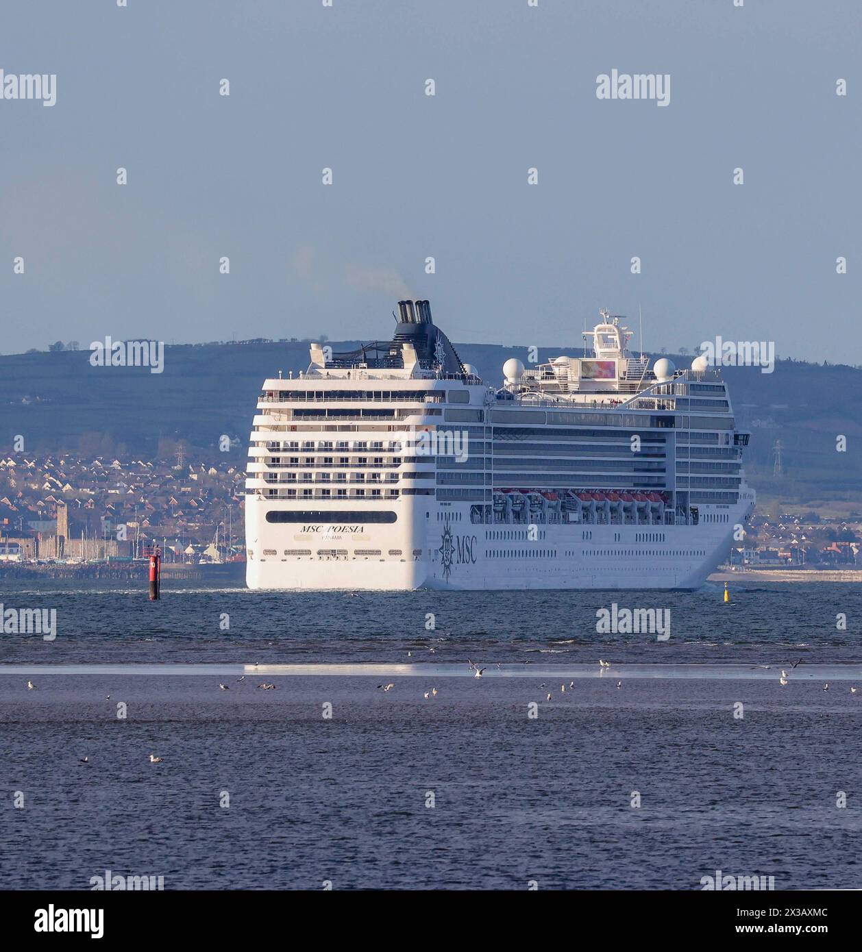 Belfast Lough, County Down, Northern Ireland, UK. 25th Apr 2024. UK weather - a sunny evening on Belfast Lough but still cold in the breeze. The cruise liner MSC Poesia on Belfast Lough leaving the Port of Belfast with the medieval Norman castle, Carrickfergus on the left.  Credit: CAZIMB/Alamy Live News. Stock Photo