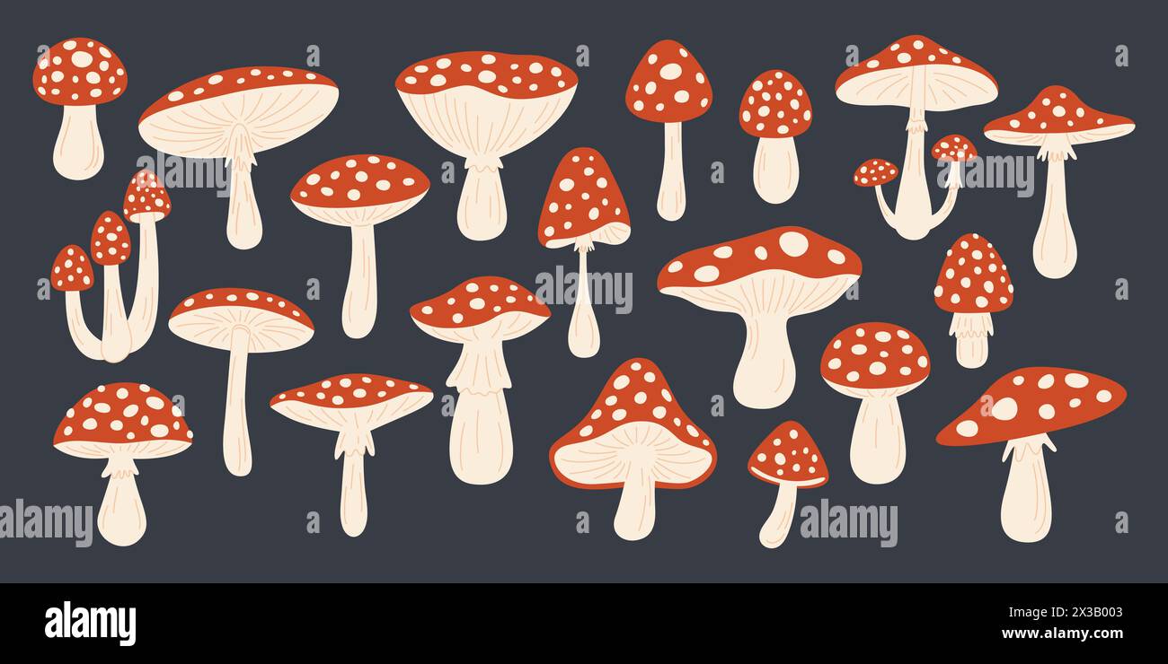 Vector Hand Drawn Cartoon Fly Agaric Mushrooms. Amanita Muscaria, Fly Agaric Illustration, Mushrooms Collection. Magic Mushroom Set, Design Template Stock Vector