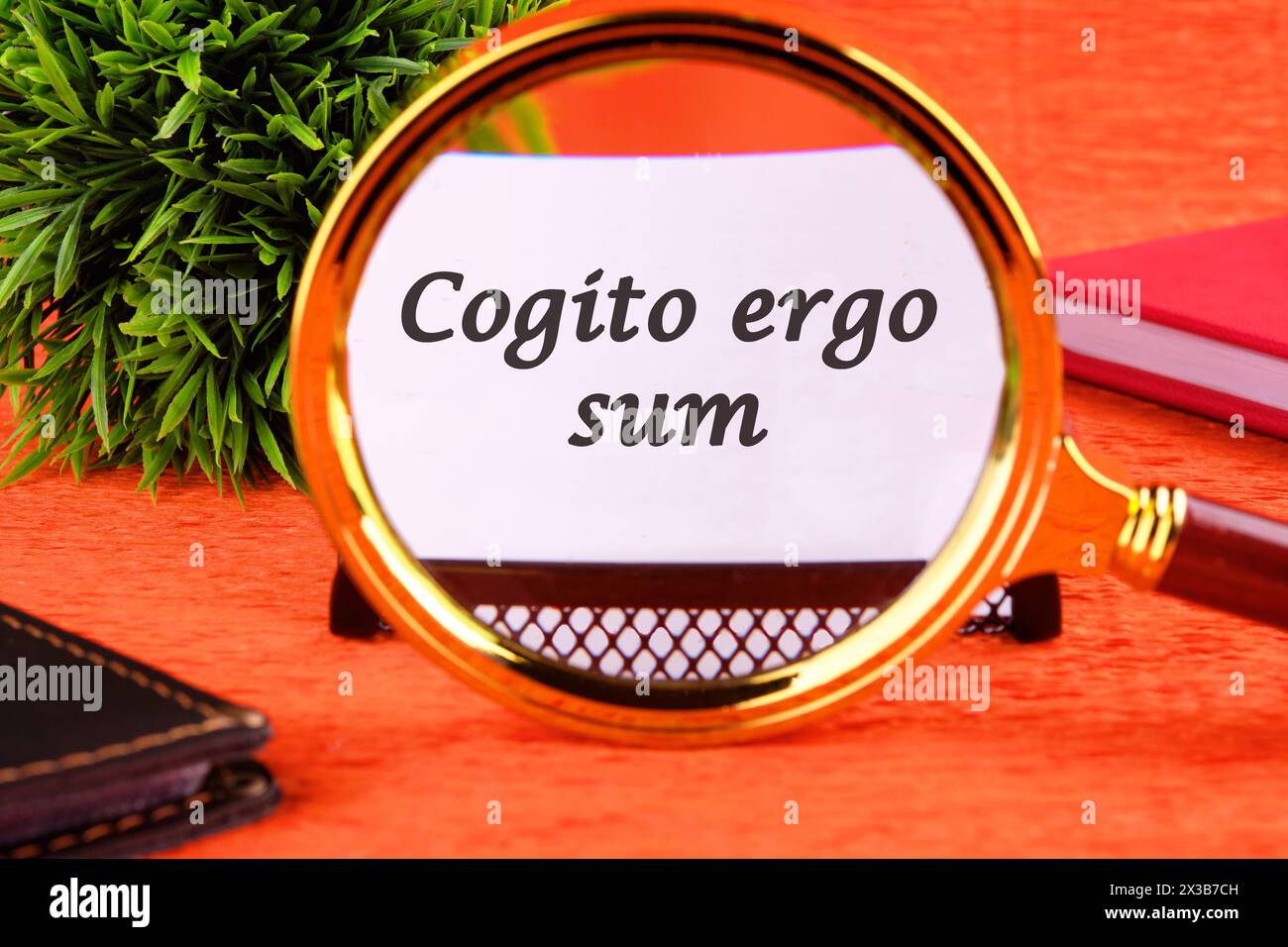 The words Cogito Ergo Sum or I think Therefore I Am through a magnifying glass on a business card. Business concept Stock Photo