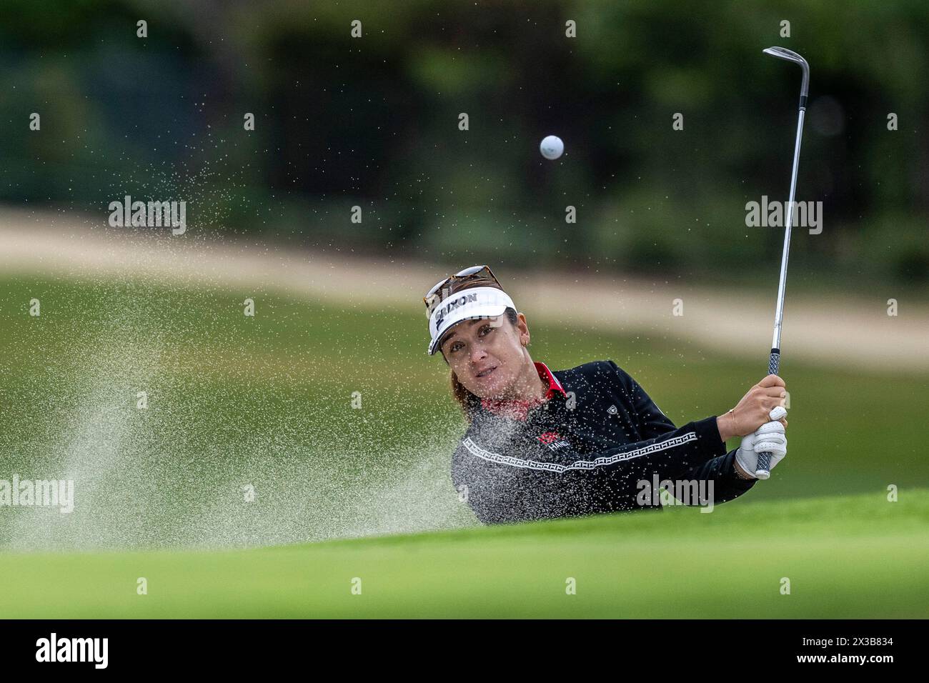 Los Angeles, California, USA. 25th Apr, 2024. HANNAH GREEN hits out of a bunch next to the 13th hole during the 1st round of the 2024 JM Eagle LA Championship at the Wilshire Country Club in Los Angeles. (Credit Image: © Mark Edward Harris/ZUMA Press Wire) EDITORIAL USAGE ONLY! Not for Commercial USAGE! Stock Photo