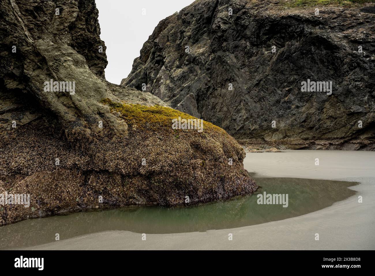 Small Salt Water Pool At Low Tide At The Base Of Sea Stack along the Oregon Coast Stock Photo