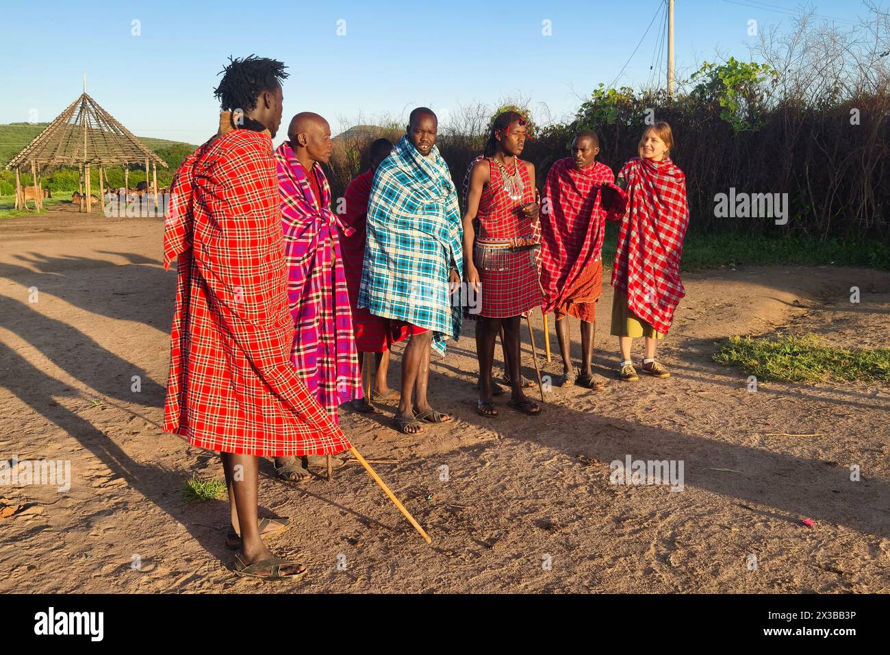 February 4, 2024. Masai Mara National Park. Kenya.: Group of unidentified African men from Masai tribe show a traditional Jump dance in a local villag Stock Photo