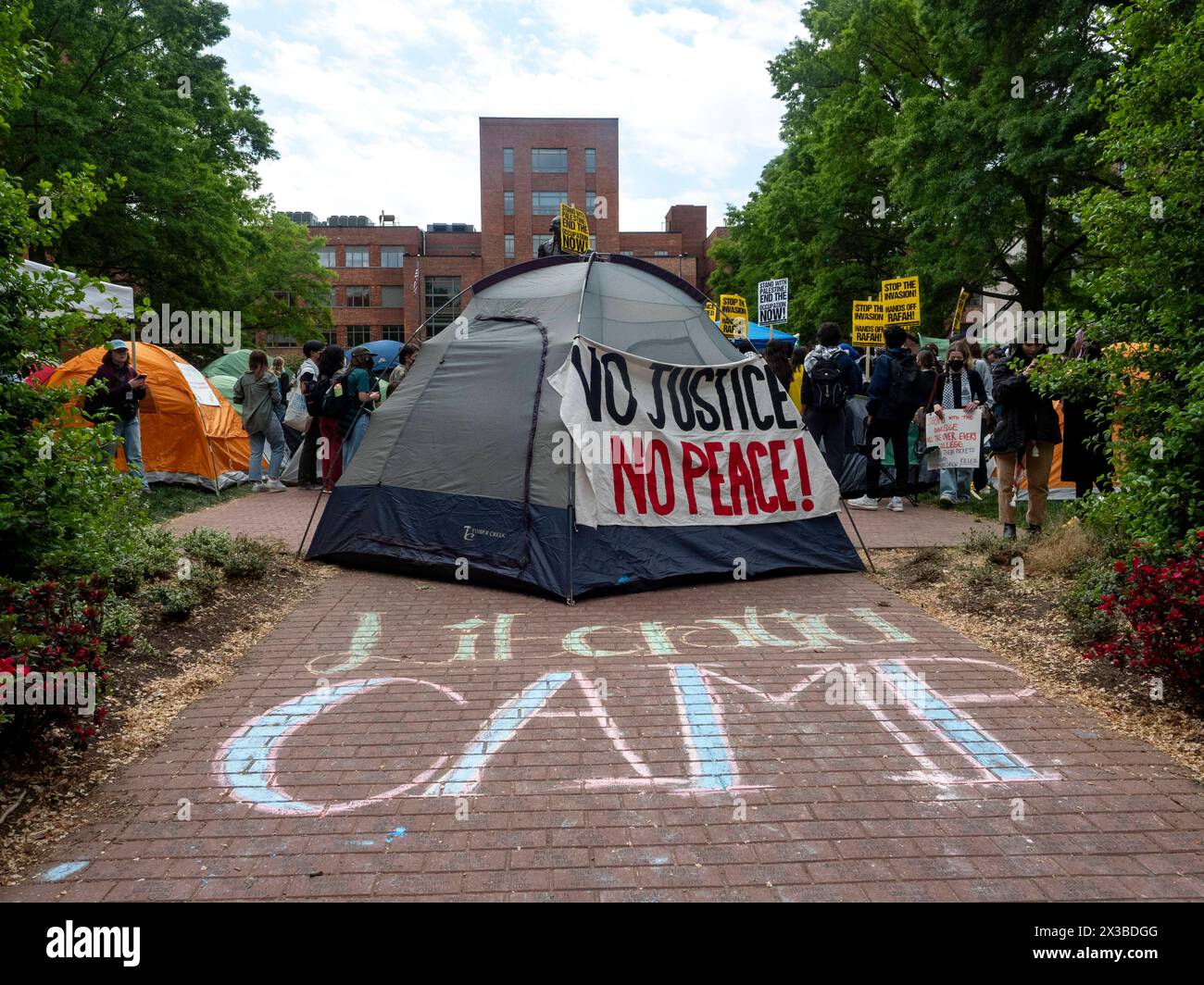 Washington, District Of Columbia, USA. 25th Apr, 2024. Students and community members rally amidst a tent encampment on The George Washington University campus in support of Gaza and Palestine. (Credit Image: © Sue Dorfman/ZUMA Press Wire) EDITORIAL USAGE ONLY! Not for Commercial USAGE! Stock Photo