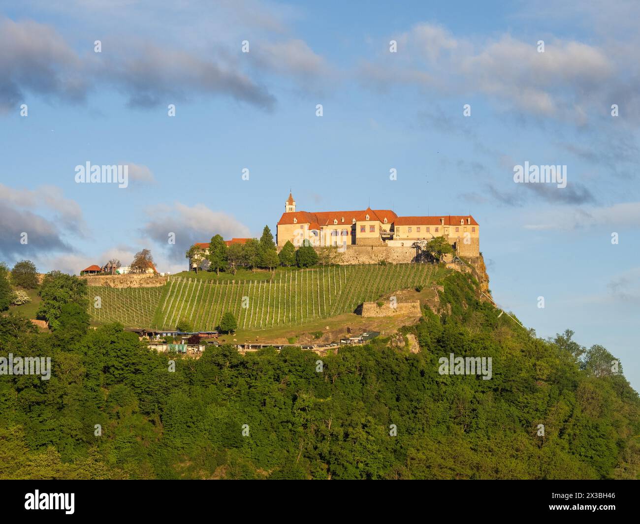Riegersburg in the morning light, Riegersburg, Styrian volcanic region, Styria, Austria, Europe Stock Photo