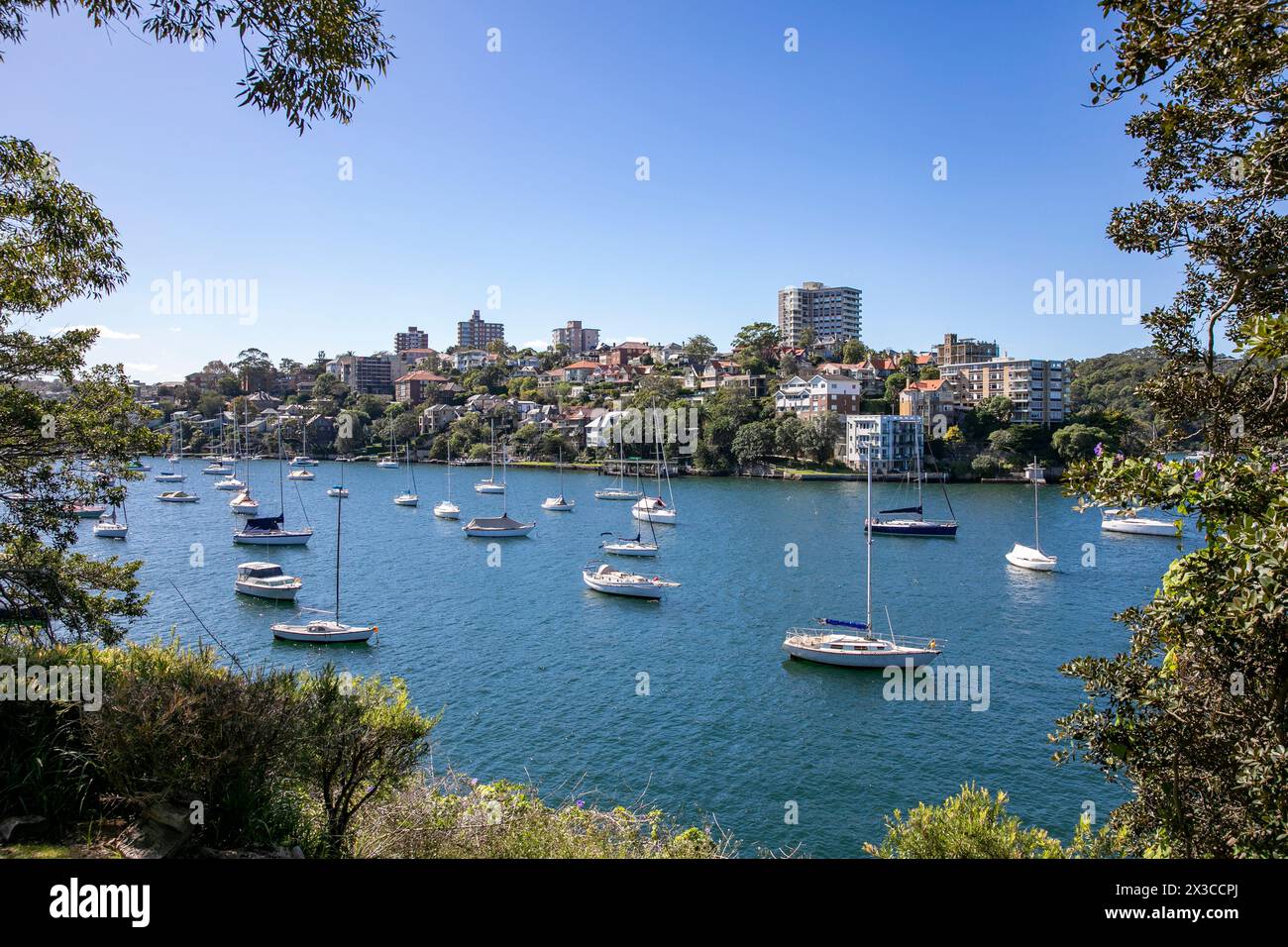 Sail boats and yachts moored in Mosman Bay on Sydney lower north shore, with waterfront homes in Mosman,Sydney,NSW,Australia Stock Photo
