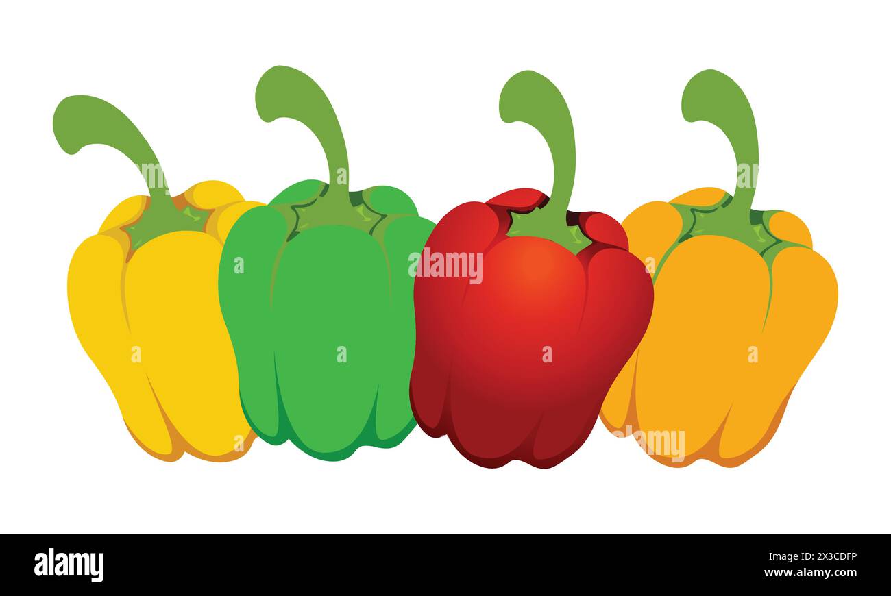 Capsicum  Vector  Design And Illustration. Stock Vector