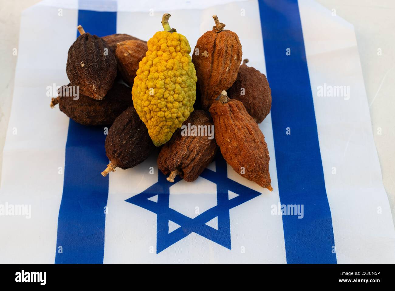 Still life image of a mature, yellow, highly textured, kosher etrog alongside similar brown, dried fruits from previous years,  in a pile on top of an Stock Photo