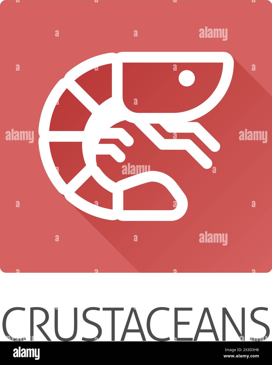 Prawn Shrimp Crustacean Food Allergen Allergy Icon Stock Vector Image