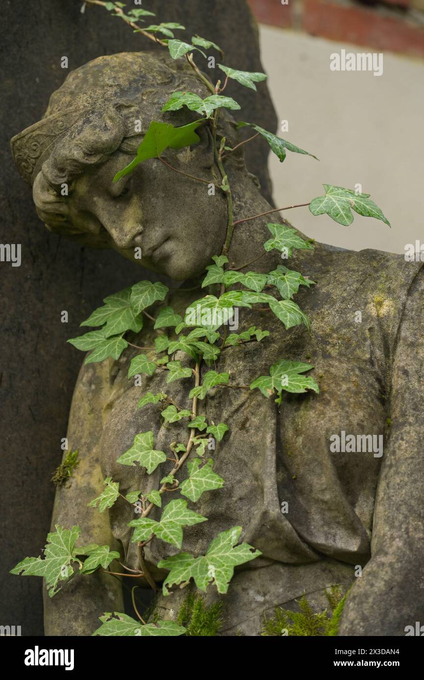Efeu, Trauerfigur, Symbolfoto Tod, Trauer, Nordfriedhof, Wiesbaden, Hessen, Deutschland Stock Photo