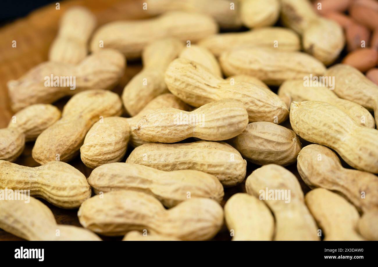 ground-nut, peanut (Arachis hypogaea), unpeeled peanuts Stock Photo