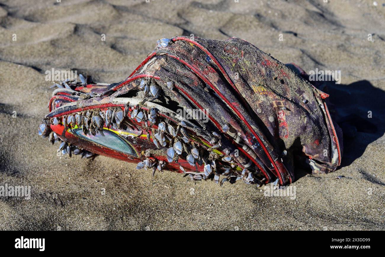 Washed out backpack bag to the shore of the Atlantic ocean in Gibraltar covered in sea shells Stock Photo