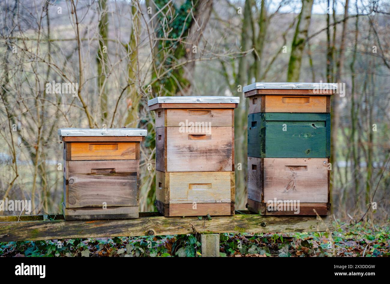 Traditional wooden bee hives hi-res stock photography and images - Alamy