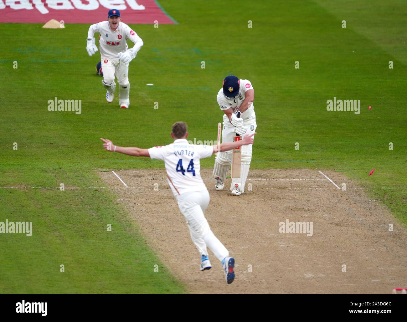 Jamie porter essex 2024 hi-res stock photography and images - Alamy