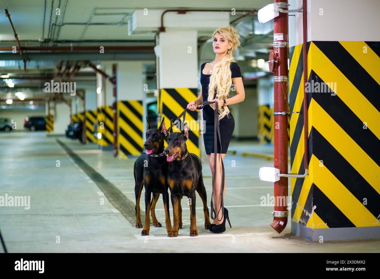 Beautiful girl with long blond hair in dress with two Doberman on leashes in the underground parking Stock Photo