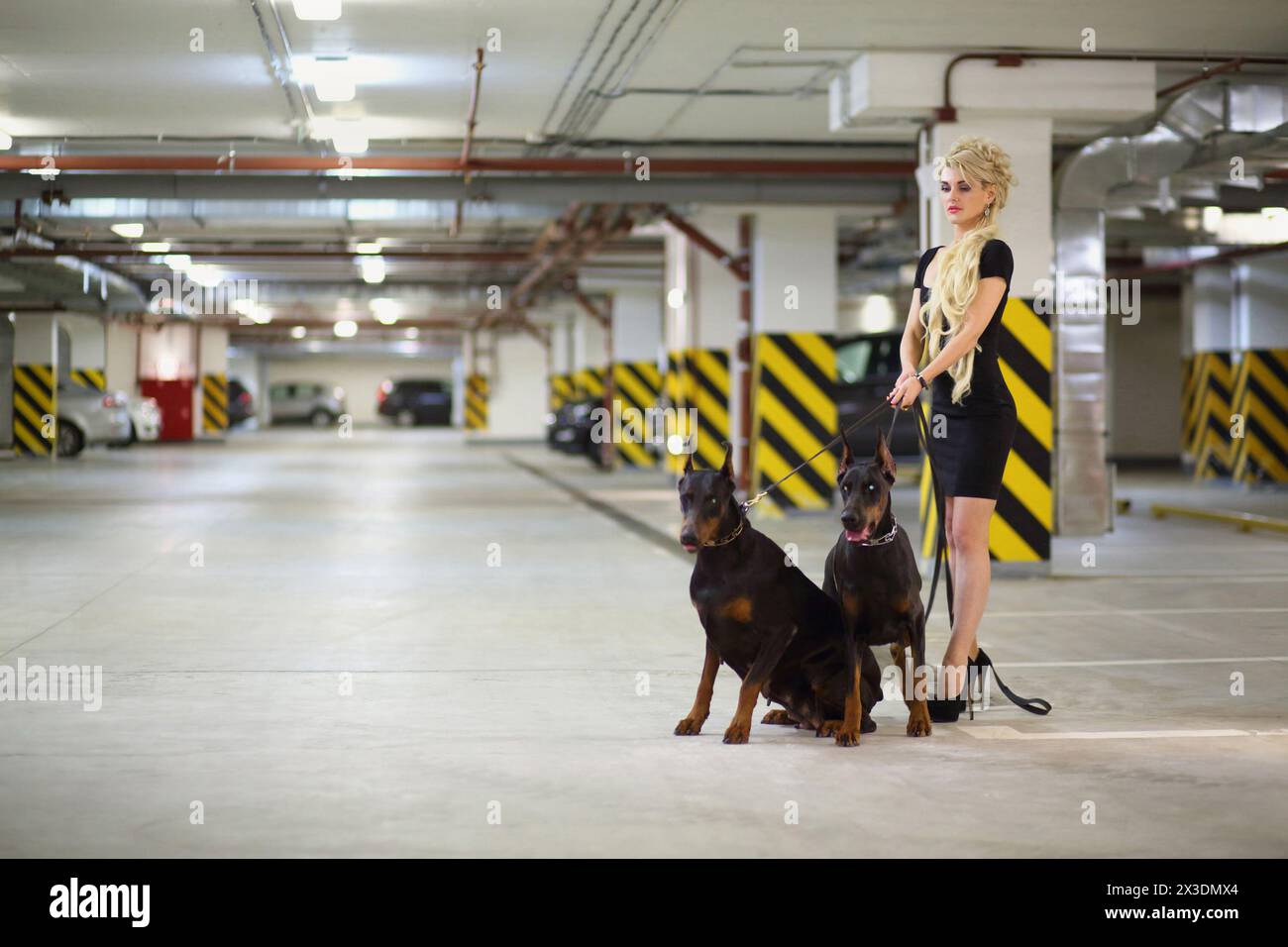 Beautiful girl with long blond hair in a black dress holding two dogs on a leash in the underground parking Stock Photo