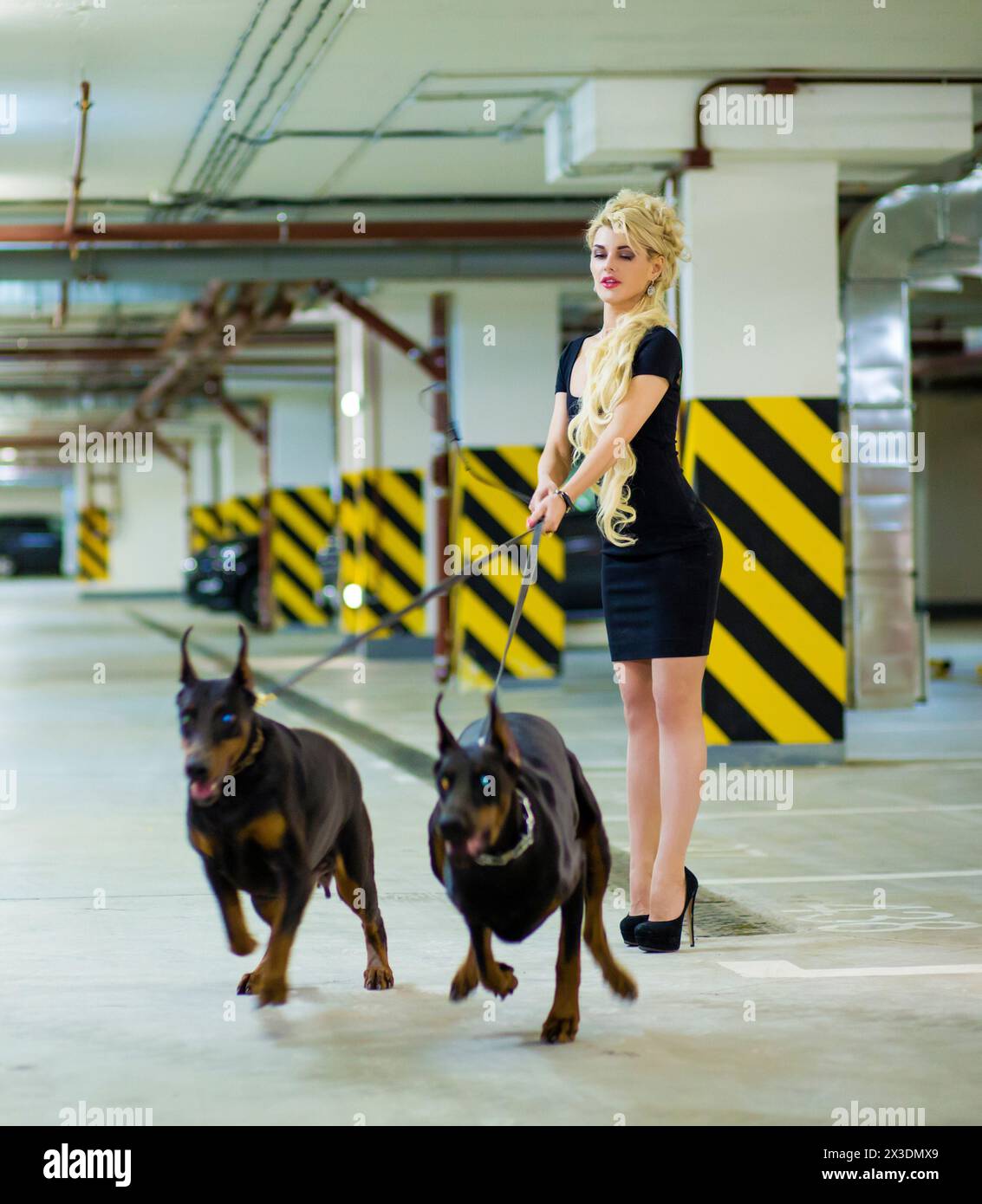 Beautiful blonde in black dress holding two pulling Doberman on leashes in the underground parking Stock Photo