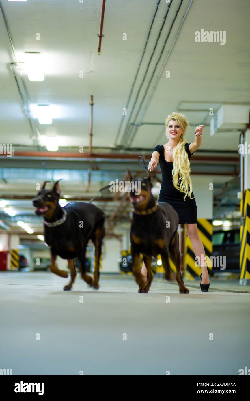 Running blonde with two pulling Doberman on leashes in the underground parking Stock Photo