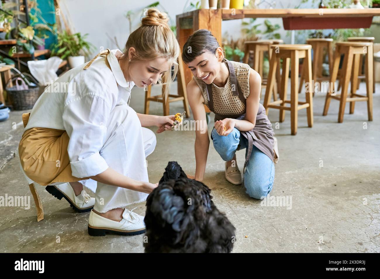 Loving lesbian couple petting a black hen on the floor in their art studio. Stock Photo