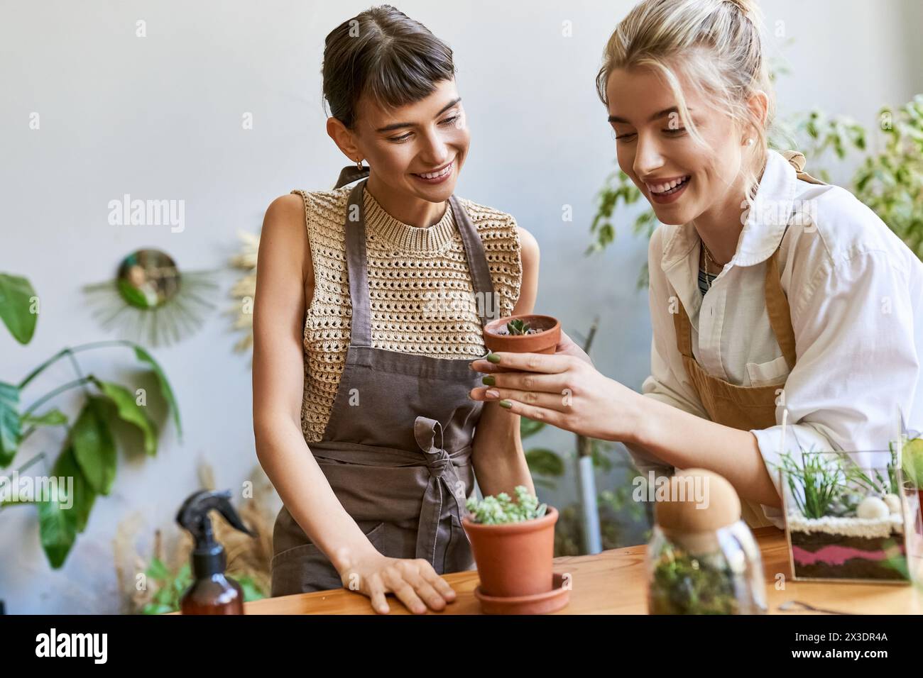 Two women admiring a potted plant with love and curiosity. Stock Photo