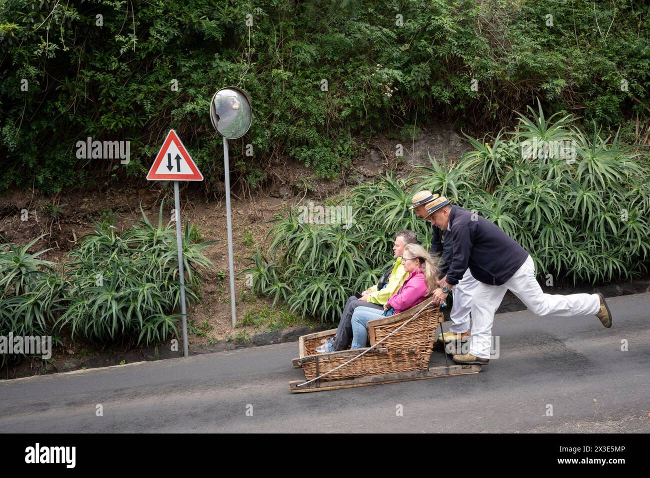 Tourist passengers ride Funchal's famous 'Carreiros de Monte' toboggan