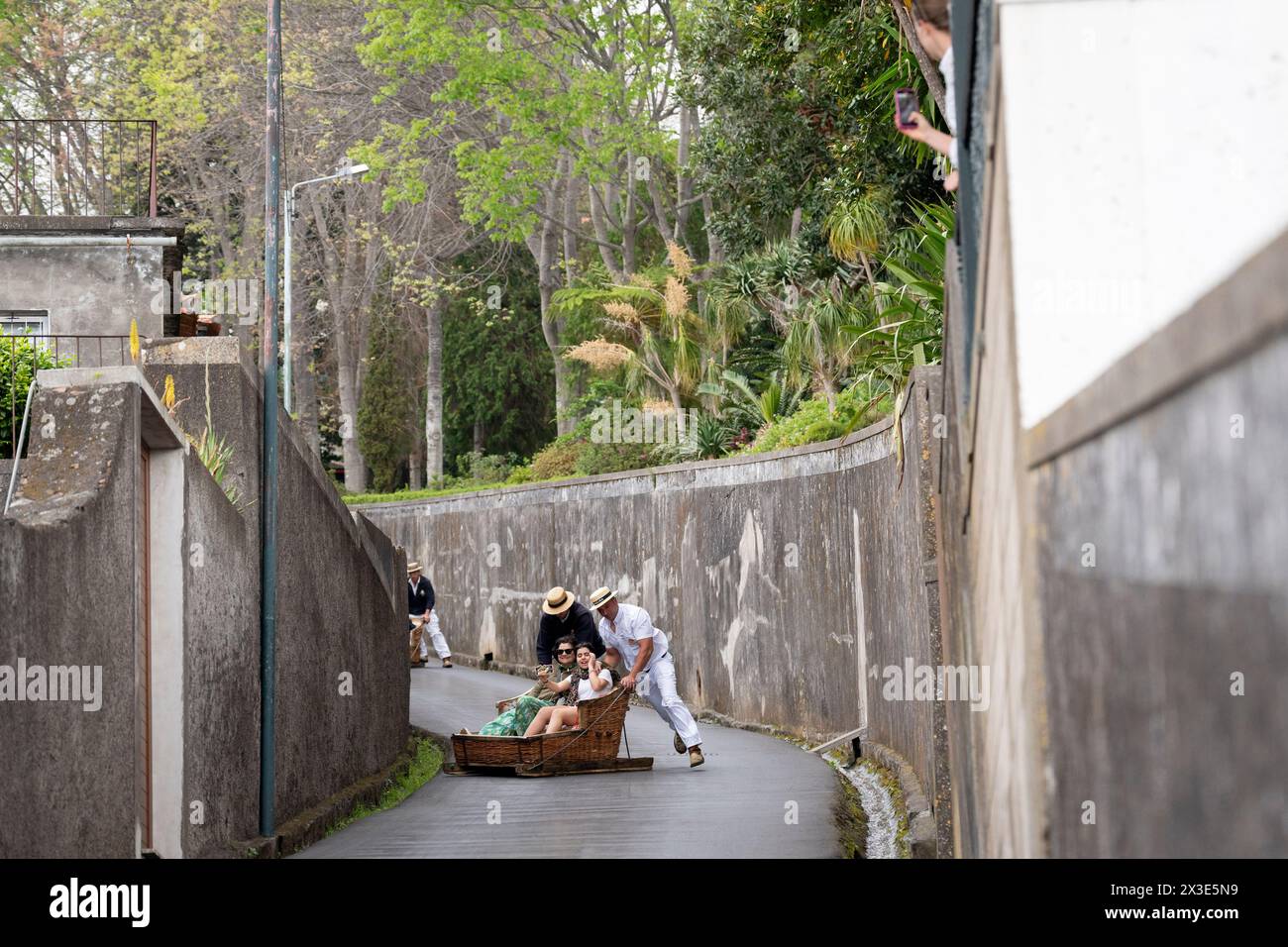 Tourist passengers ride Funchal's famous 'Carreiros de Monte' toboggan