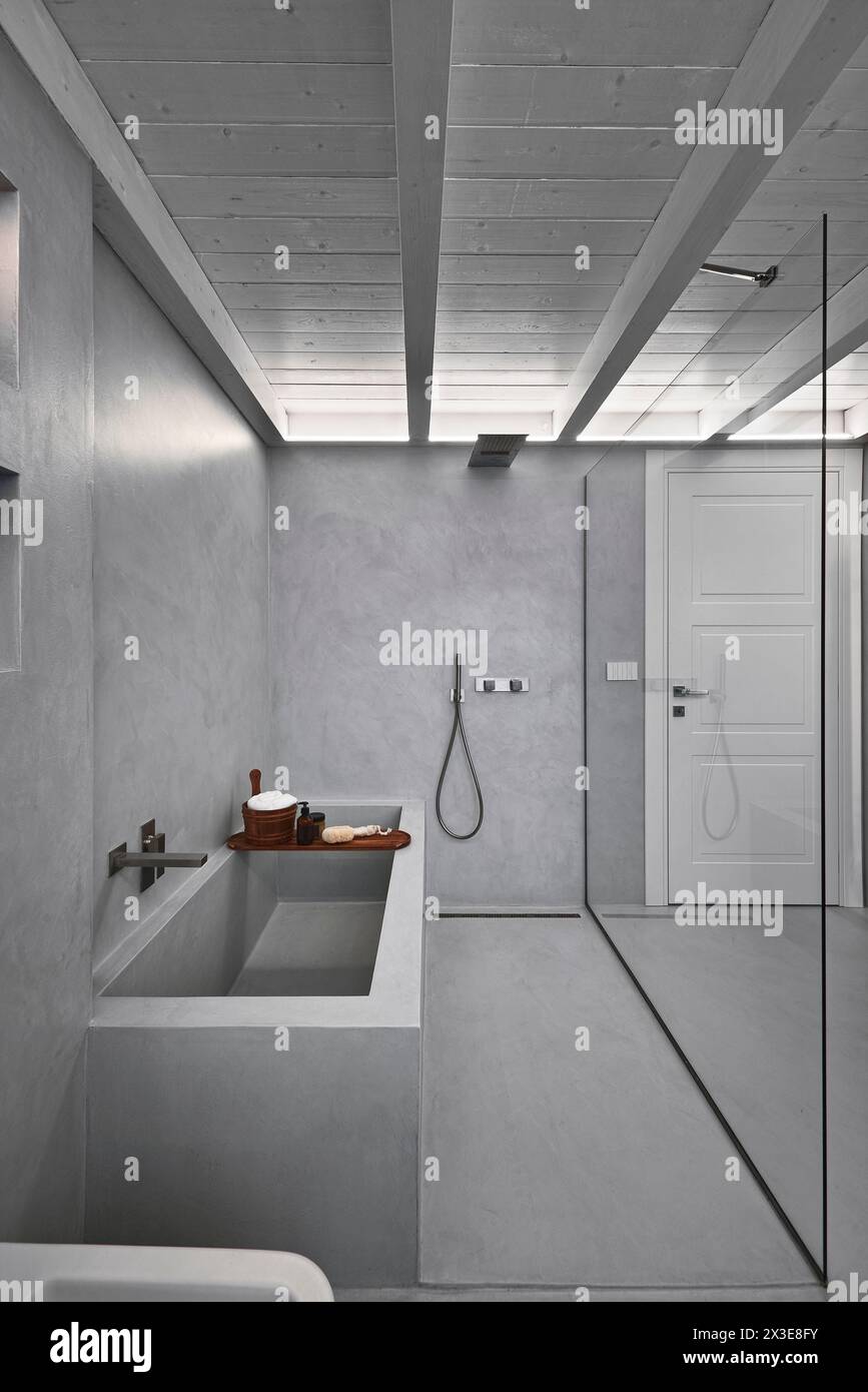 interior view of a modern bathroom clad in grey resin with wooden ceiling, Stock Photo