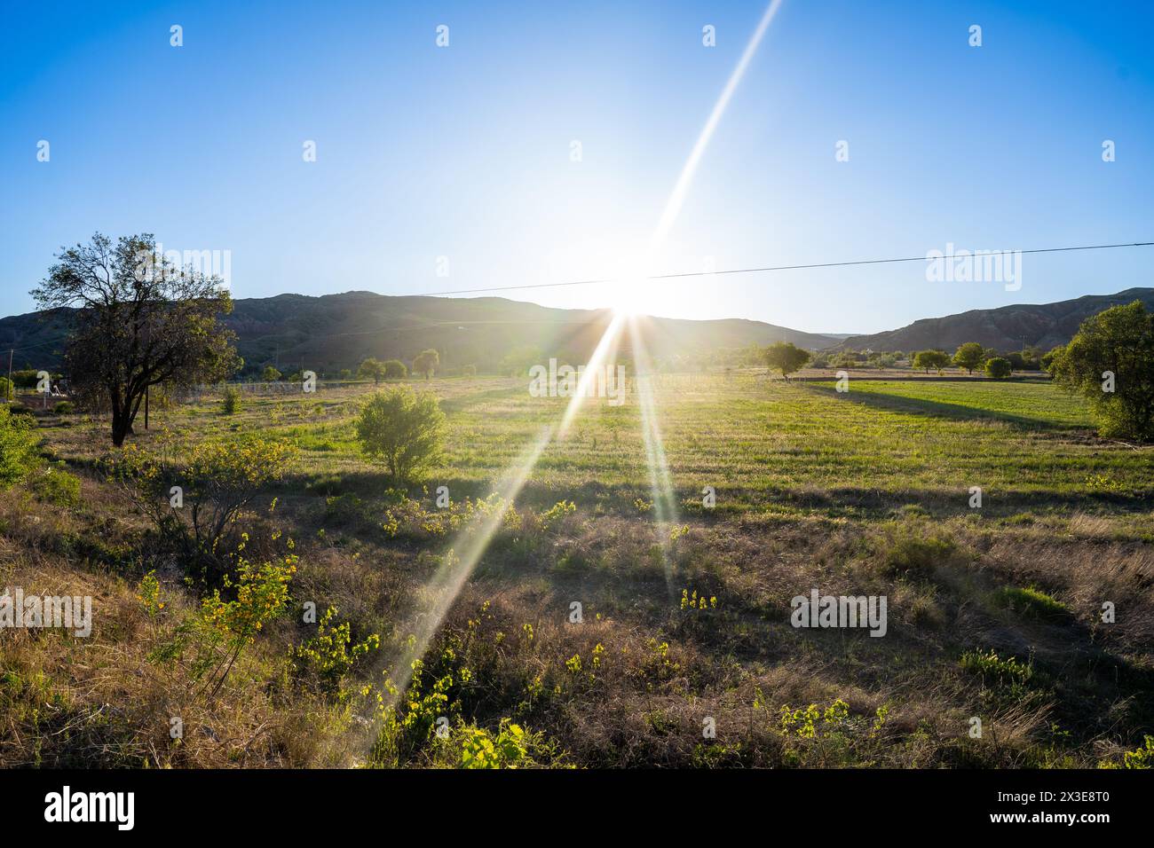 Sunlight Rays and Green Garden Stock Photo - Alamy