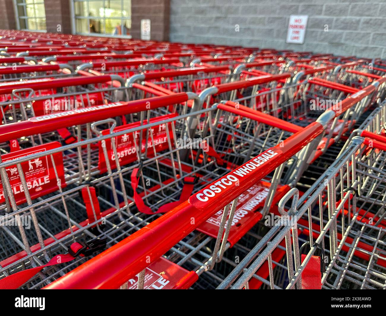 Costco wholesale store shopping carts Stock Photo