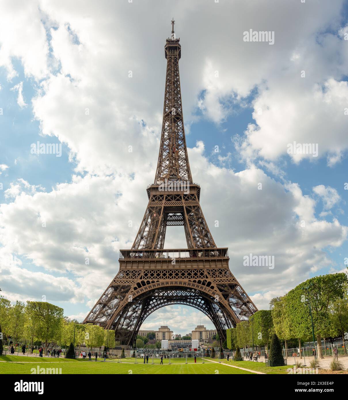 Embracing the whims of spring, the Eiffel Tower stands tall against a 