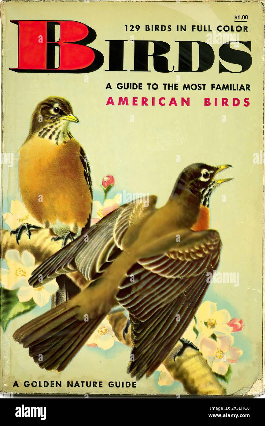 Birds  - Vintage american illustrated publication cover Stock Photo