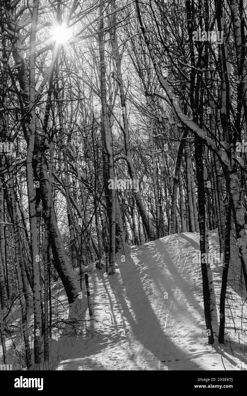 The late afternoon sun creates a sunstar over the wooded snow-covered ski and hiking trail within the Pike Lake Unit, Kettle Moraine State Forest, Har Stock Photo