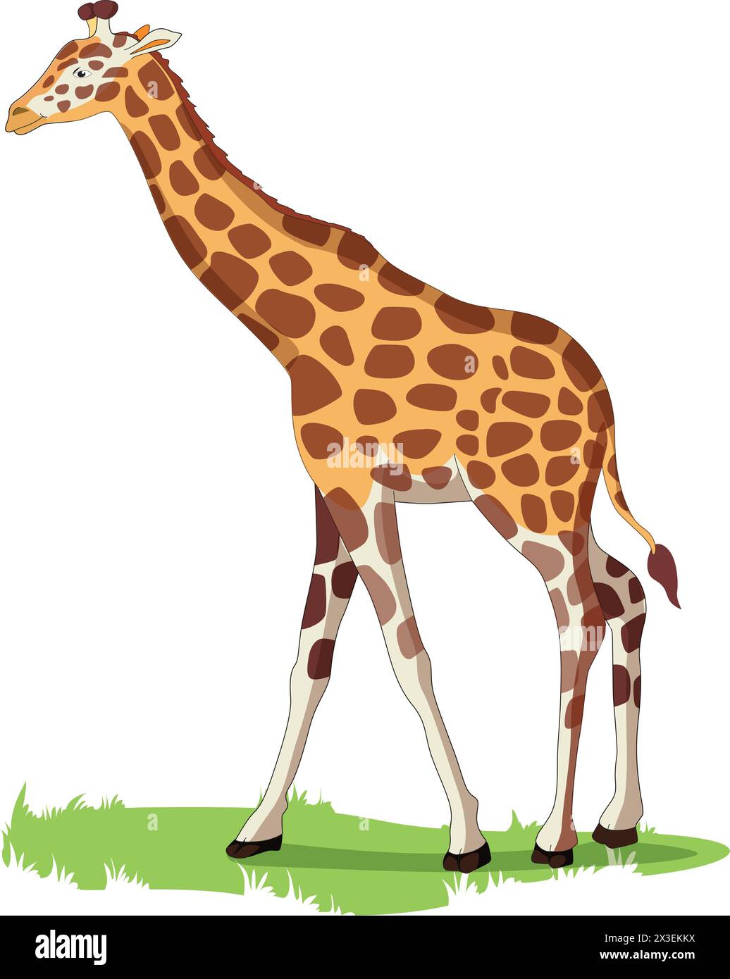Giraffe on the Grass Vector Illustration Stock Vector