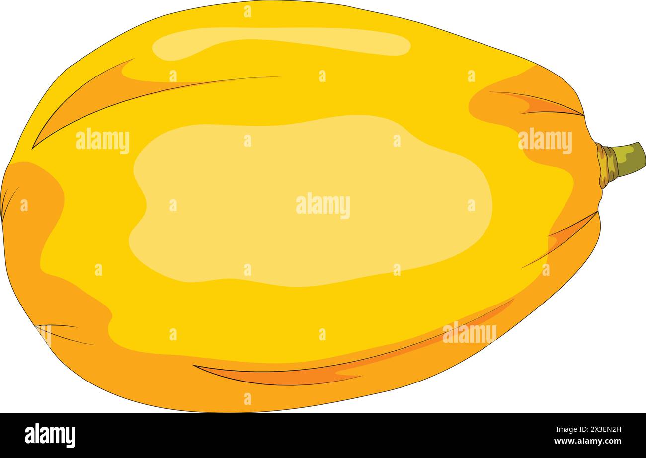 Papaya vector illustration Stock Vector