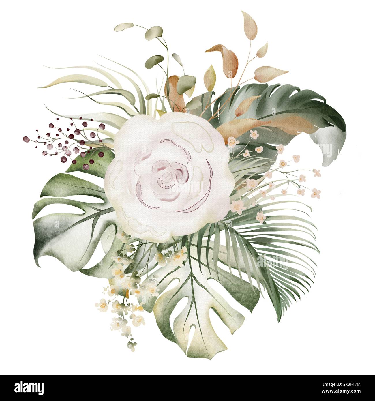 Botanical composition of watercolor roses. Stock Photo