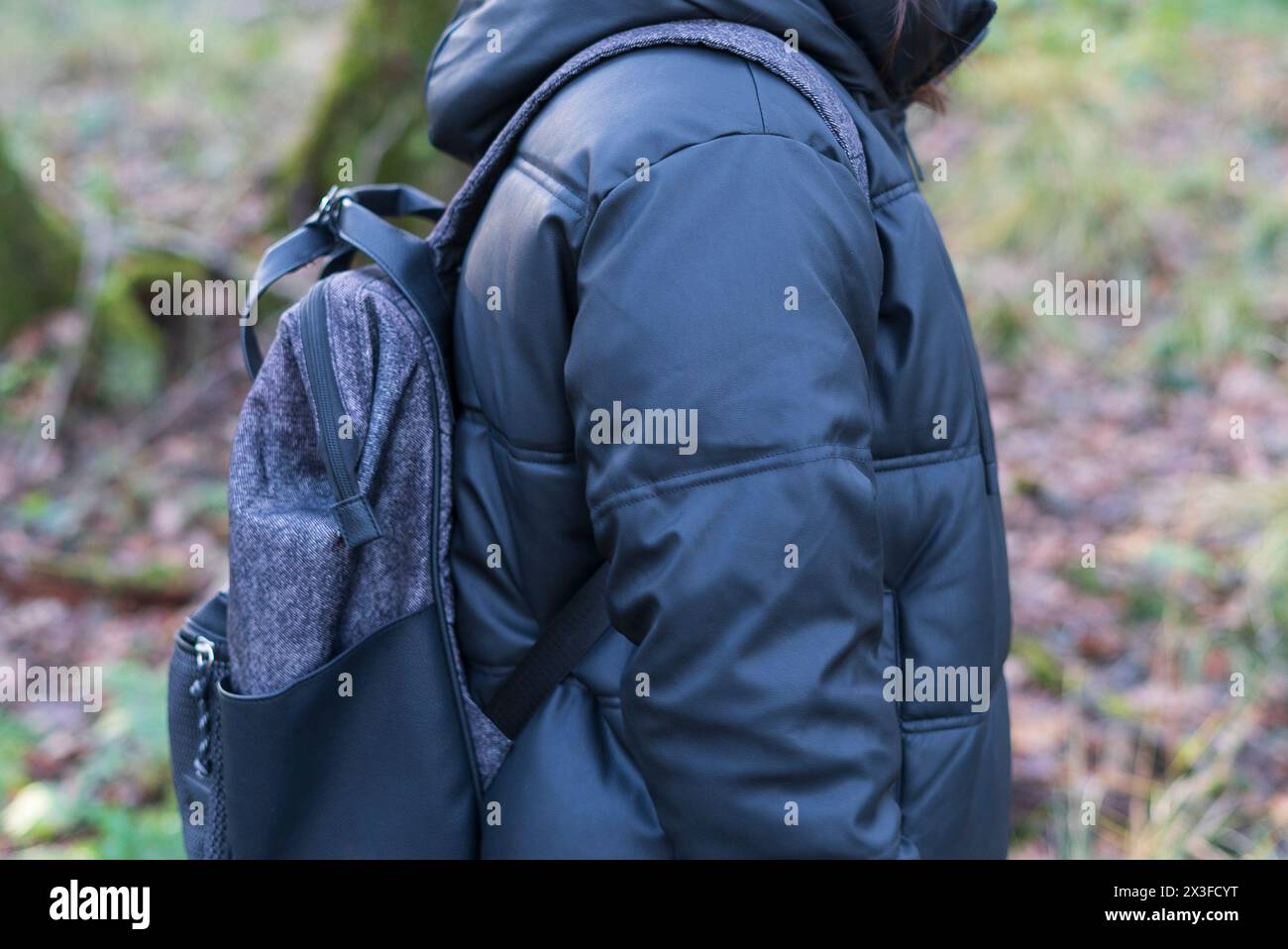Back view of a woman with backpack in the forest. Back view Stock Photo ...