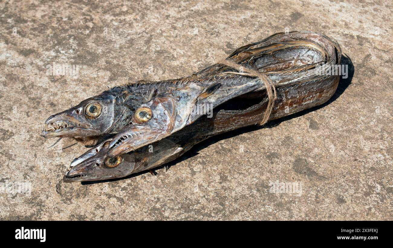 asian ribbon fish or hairtail on rugh background. Dried sea fish from bay of bangle. also called Churi Shutki. popular in chattogram, Bangladesh. look Stock Photo