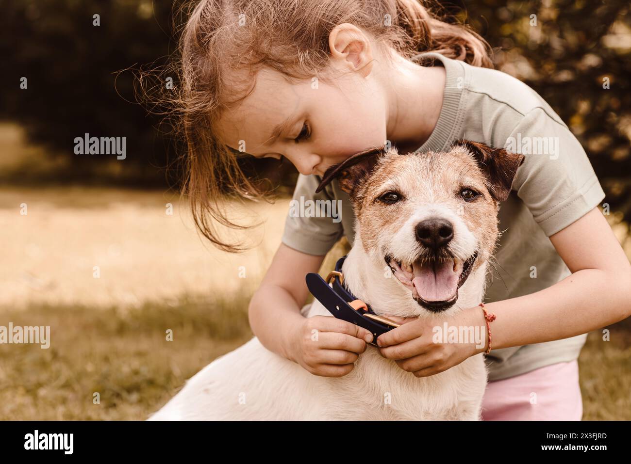 Little girl puts on dog collar on her pet dog to go for a walk Stock Photo