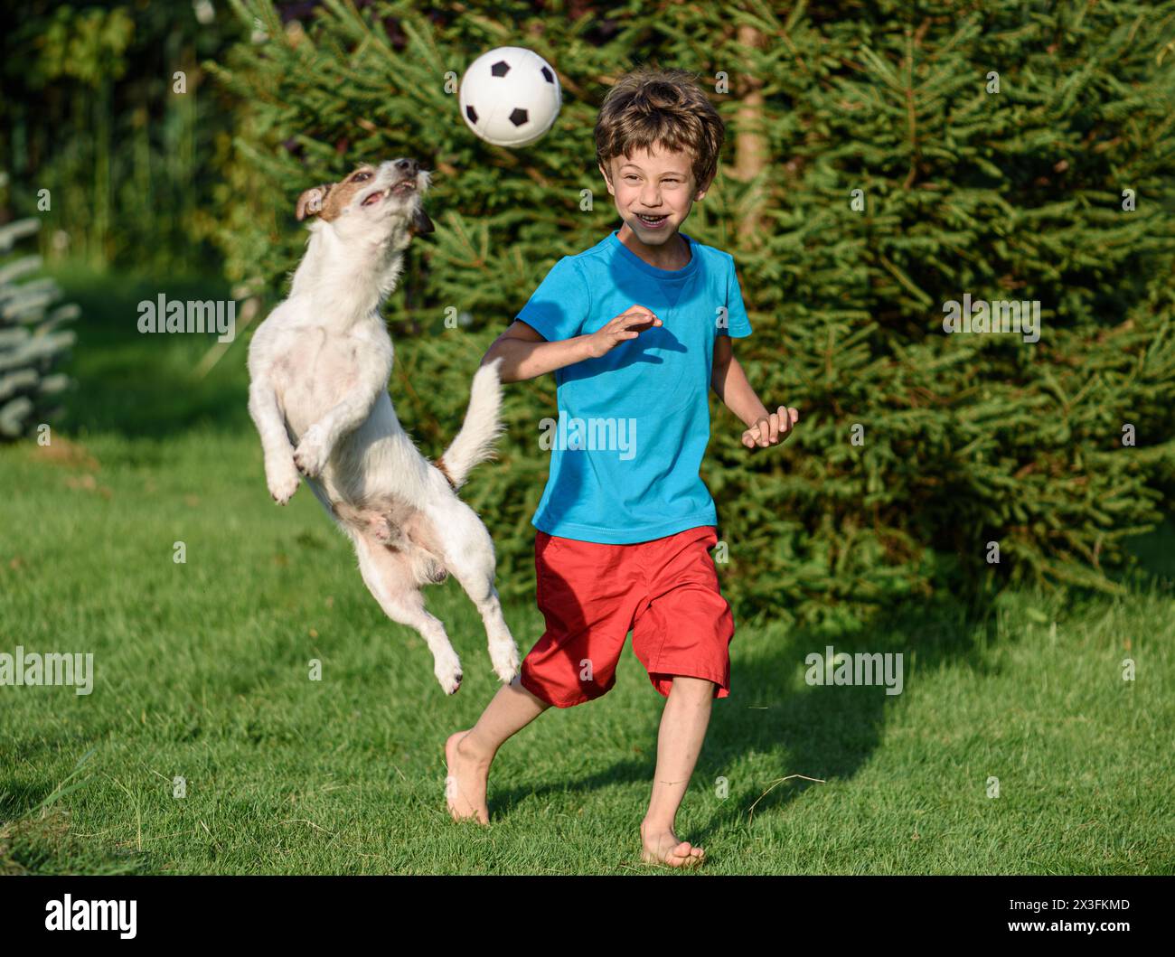 Kid playing football with family pet dog in backyard garden. Dog jumps to catch a ball. Stock Photo