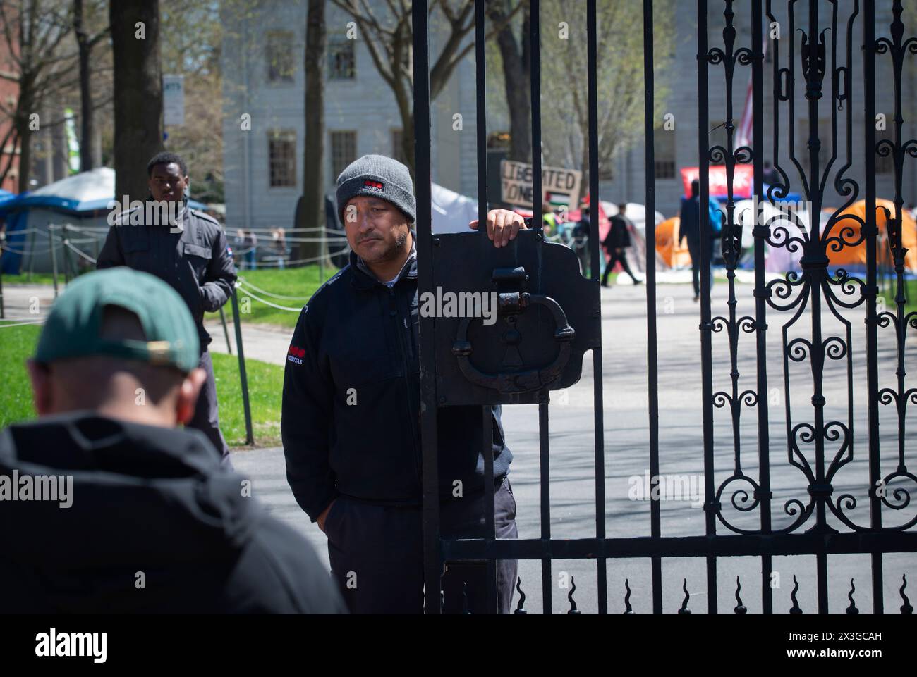 Palestine university harvard hires stock photography and images Alamy