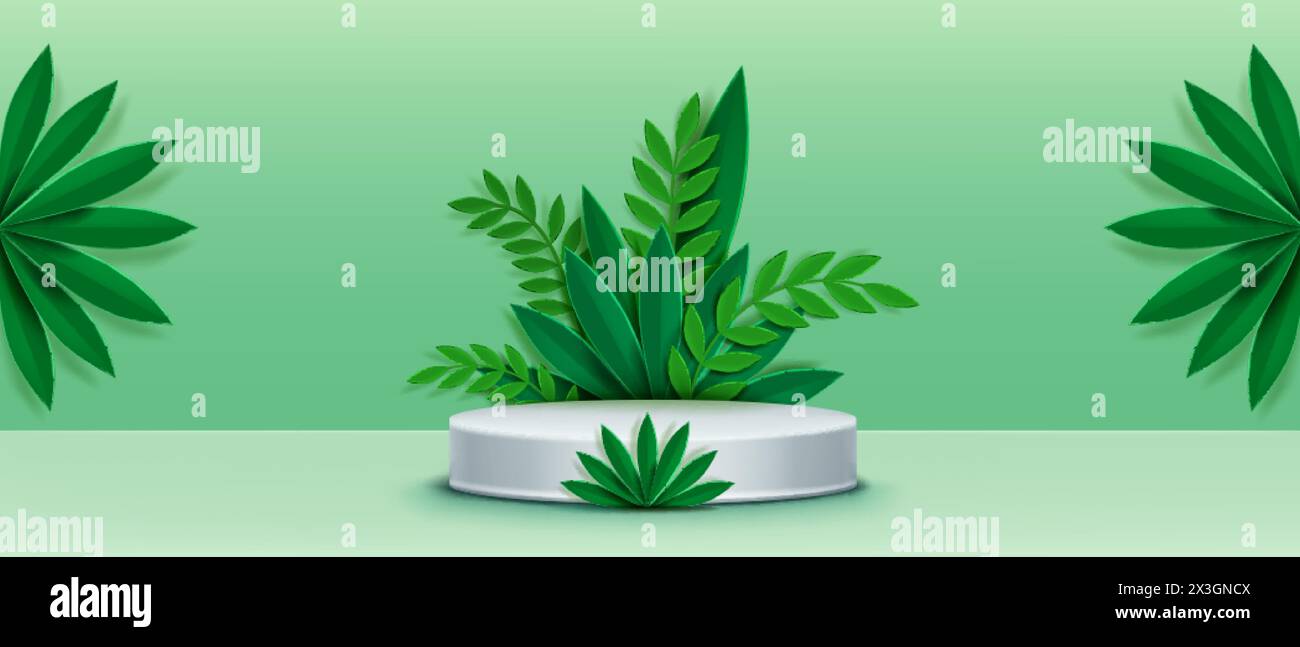 Cylinder product podium with paper cut green leaf. Realistic 3d vector ...