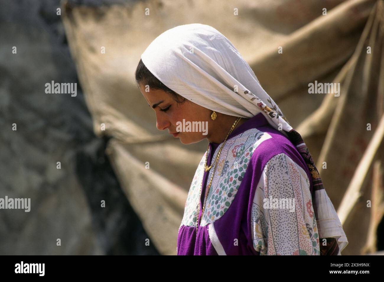 Negev bedouin woman hi-res stock photography and images - Alamy