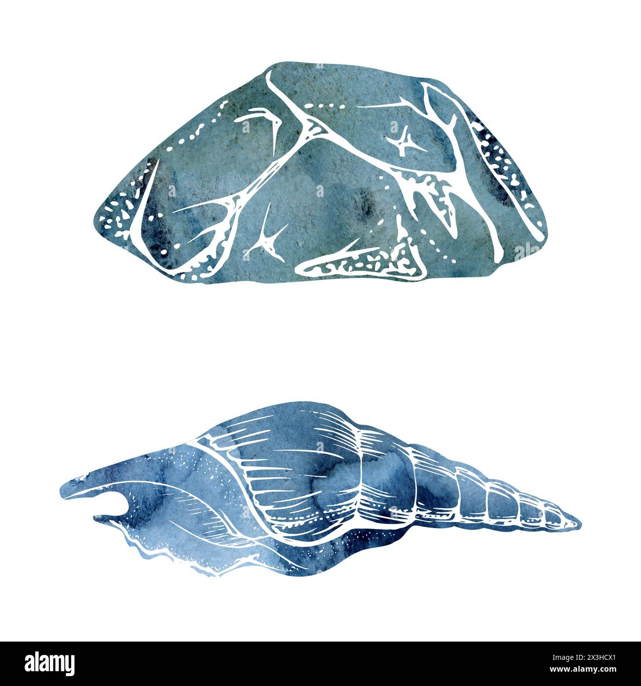 Watercolor and ink hand drawn marine life, sea ocean underwater creatures. fish, shells algae seaweed. Single object illustration, stylized, isolated Stock Photo