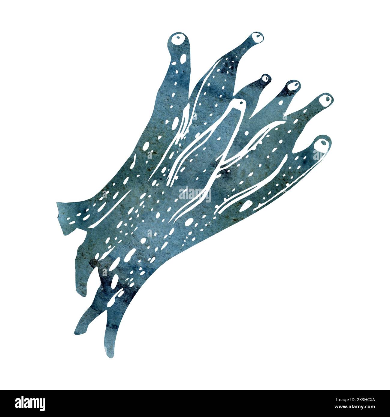Watercolor and ink hand drawn marine life, sea ocean underwater creatures. fish, shells algae seaweed. Single object illustration, stylized, isolated Stock Photo