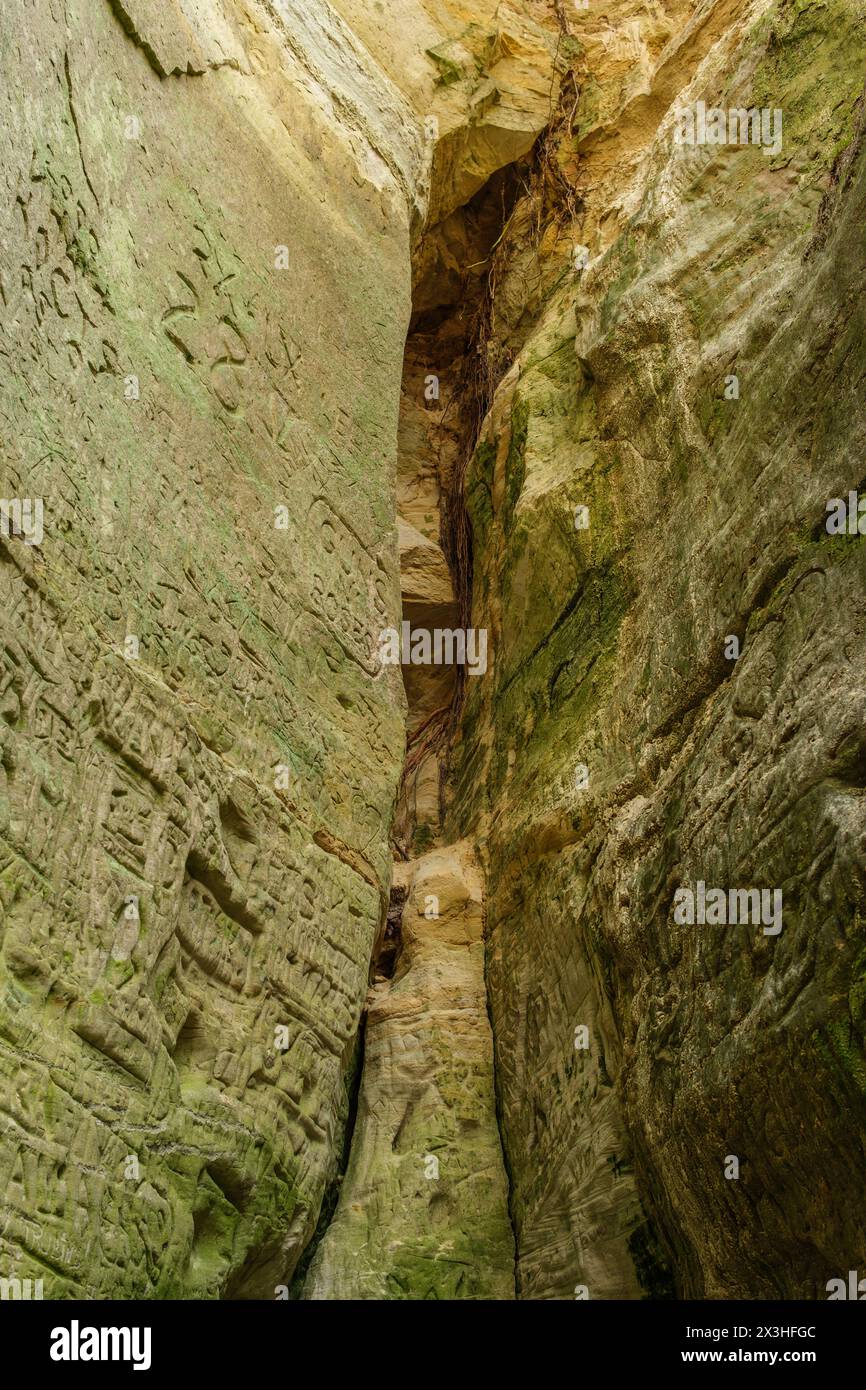 Small Hell's cliffs near Cesis are a haven for adventurers, offering thrilling hikes and stunning vistas of Latvia's natural splendor Stock Photo