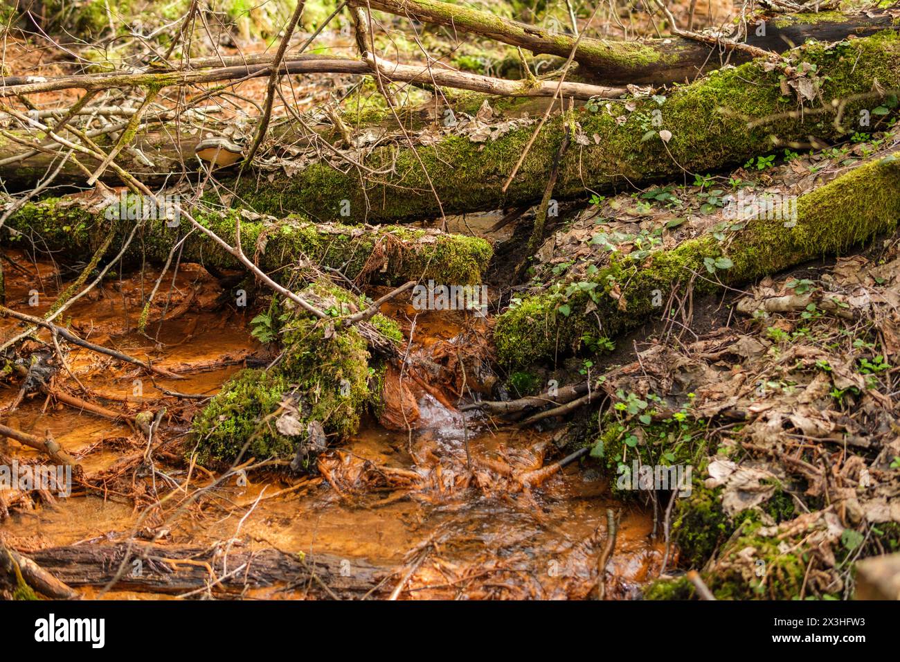 In a battle of forces, water relentlessly attempts to breach a dam ...