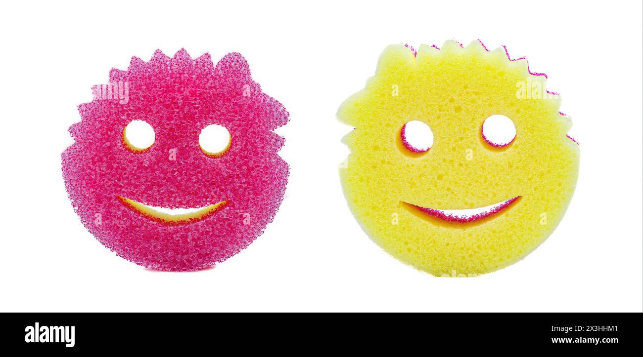 Ocala, Florida January 26, 2024 Scrub Mommy and Daddy eponymous sponges