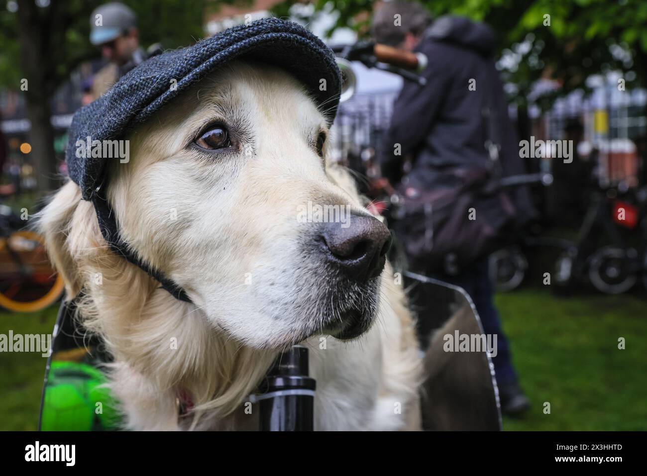 Dog tweed cap hot sale