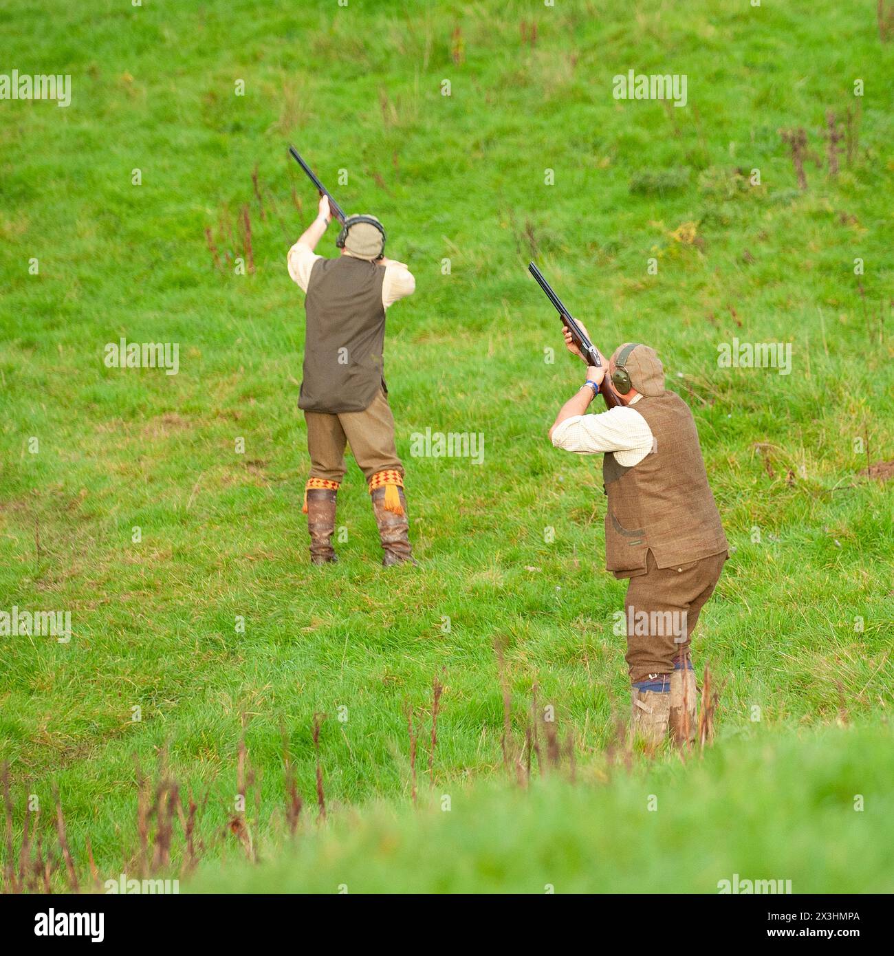 two men shooting pheasants Stock Photo